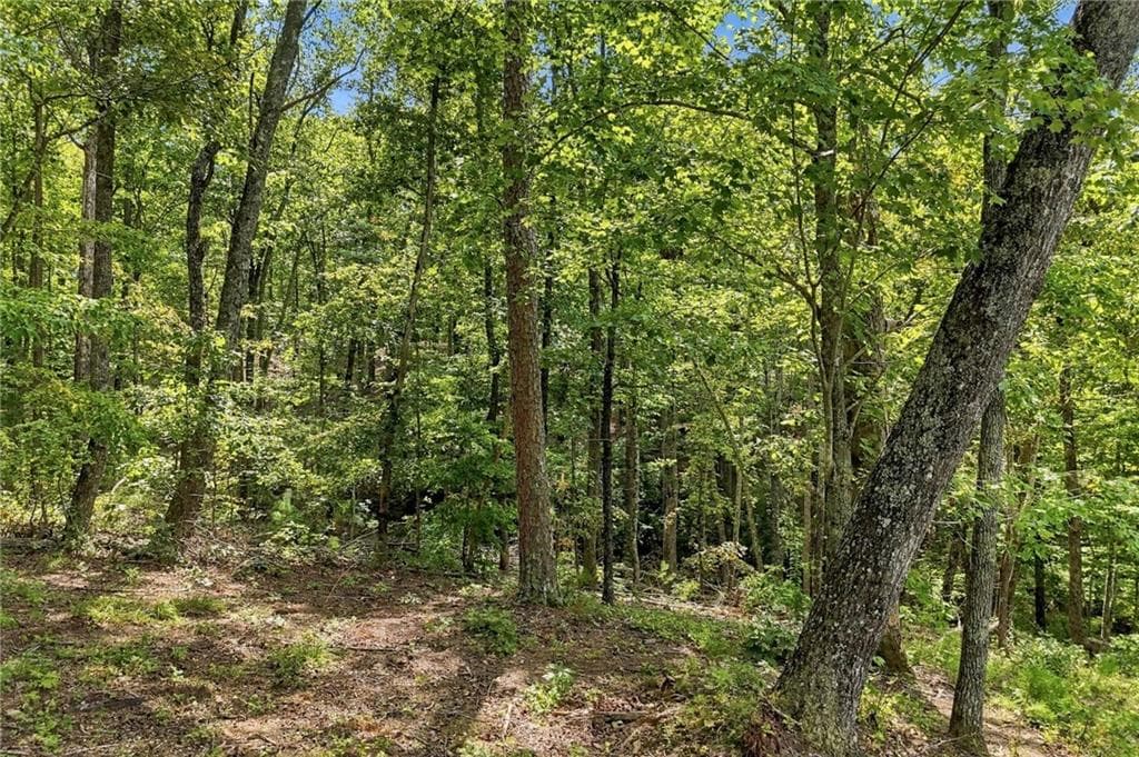 unimproved land for sale at 3 Turkey Spur Drive, Ellijay, GA 30540 — photo 5