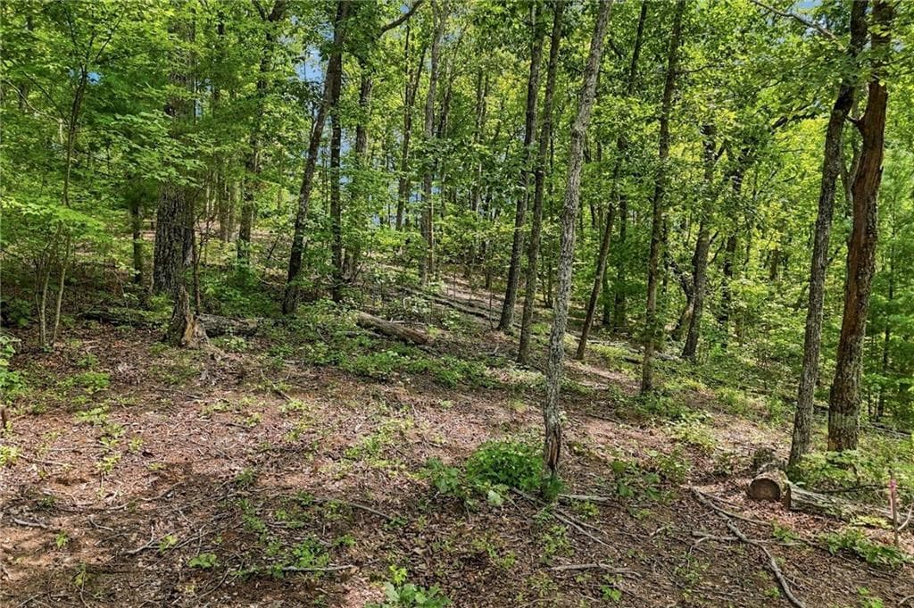 unimproved land for sale at 3 Turkey Spur Drive, Ellijay, GA 30540 — photo 6
