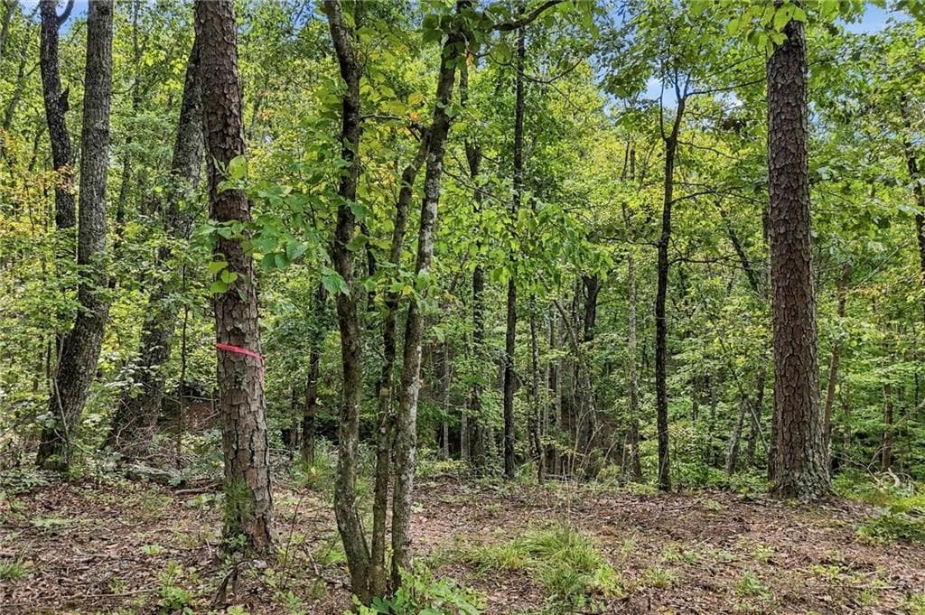 unimproved land for sale at 3 Turkey Spur Drive, Ellijay, GA 30540 — photo 7