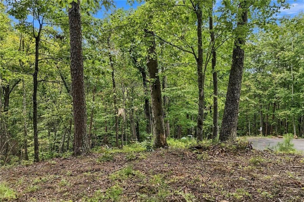unimproved land for sale at 3 Turkey Spur Drive, Ellijay, GA 30540 — photo 8