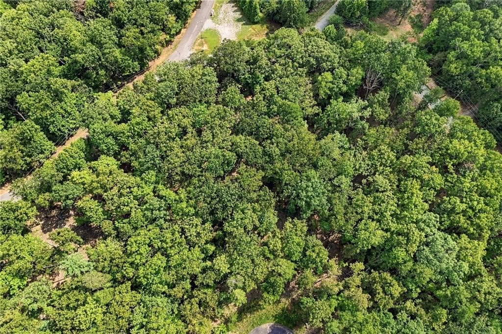 unimproved land for sale at 3 Turkey Spur Drive, Ellijay, GA 30540 — photo 9