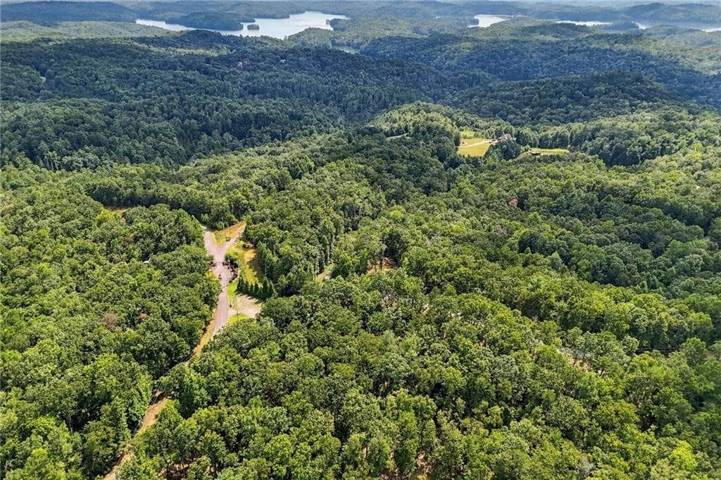 unimproved land for sale at 3 Turkey Spur Drive, Ellijay, GA 30540 — photo 10