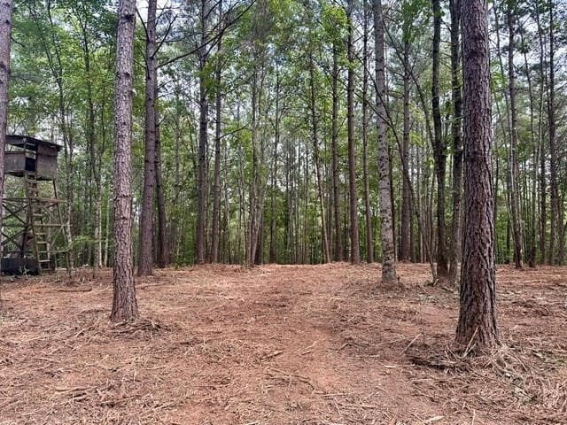 single family residence for sale at 130 Patriot View Drive, Dahlonega, GA 30533 — photo 1 of 14