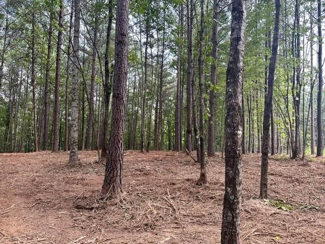 single family residence for sale at 130 Patriot View Drive, Dahlonega, GA 30533 — photo 4