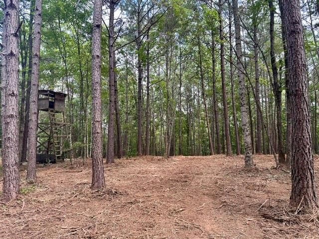 single family residence for sale at 130 Patriot View Drive, Dahlonega, GA 30533 — photo 5