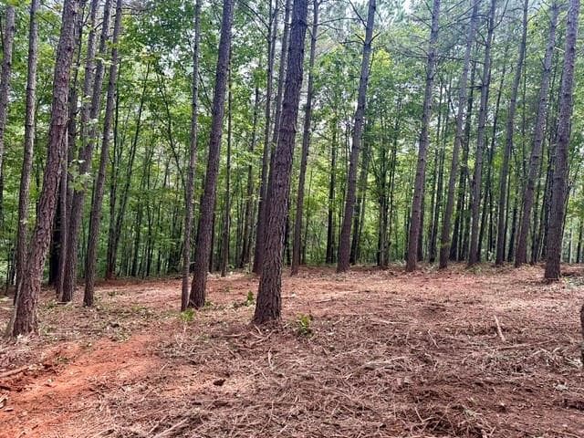 single family residence for sale at 130 Patriot View Drive, Dahlonega, GA 30533 — photo 6