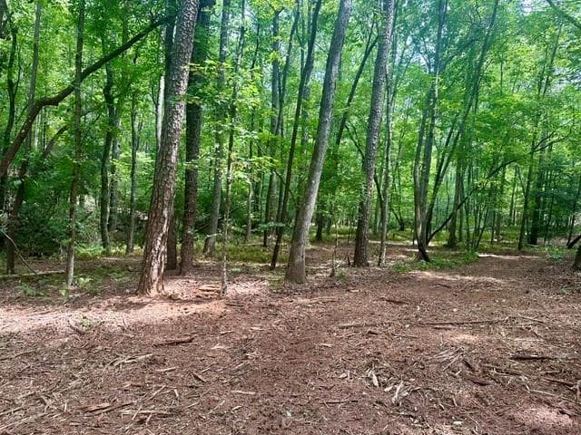 single family residence for sale at 130 Patriot View Drive, Dahlonega, GA 30533 — photo 8