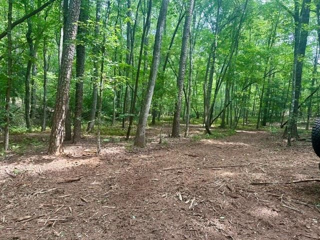 single family residence for sale at 130 Patriot View Drive, Dahlonega, GA 30533 — photo 9