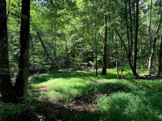 unimproved land for sale at 4000 Campbellton Fairburn Road, Fairburn, GA 30213 — photo 1 of 5