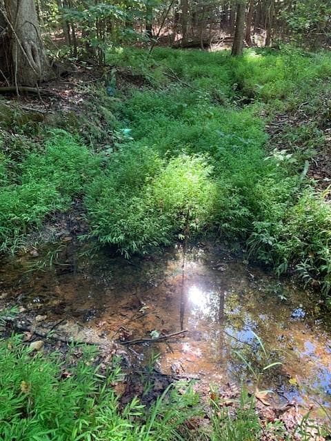 unimproved land for sale at 4000 Campbellton Fairburn Road, Fairburn, GA 30213 — photo 2