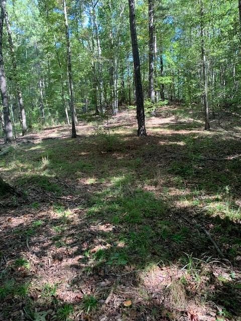 unimproved land for sale at 4000 Campbellton Fairburn Road, Fairburn, GA 30213 — photo 3