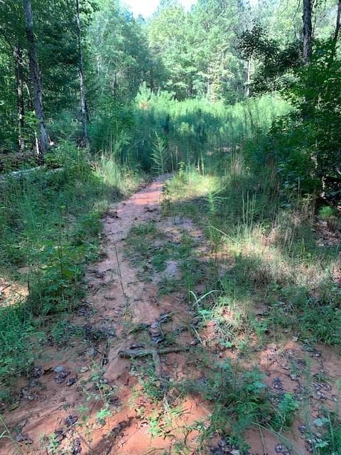 unimproved land for sale at 4000 Campbellton Fairburn Road, Fairburn, GA 30213 — photo 4