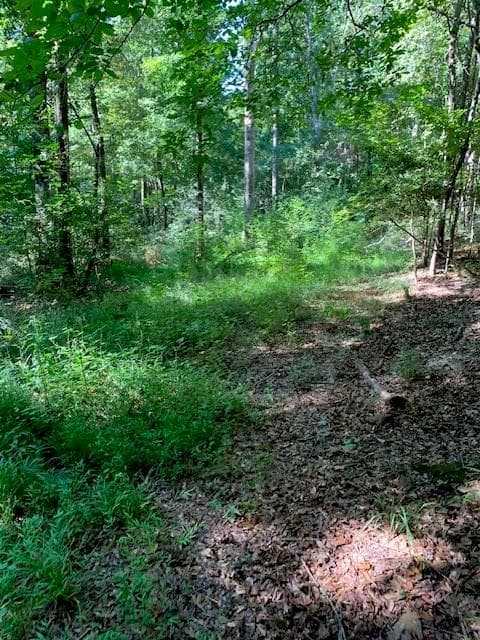 unimproved land for sale at 4000 Campbellton Fairburn Road, Fairburn, GA 30213 — photo 5