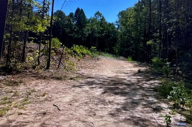 single family residence for sale at 343 Delta Lane, Rockmart, GA 30153