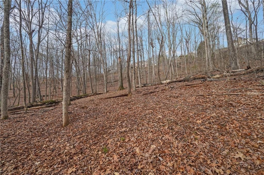 single family residence for sale at 41A&42 Madeline Anthony Road, Dahlonega, GA 30533 — photo 6