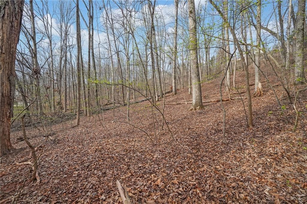single family residence for sale at 41A&42 Madeline Anthony Road, Dahlonega, GA 30533 — photo 7