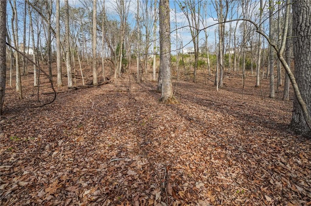 single family residence for sale at 41A&42 Madeline Anthony Road, Dahlonega, GA 30533 — photo 8