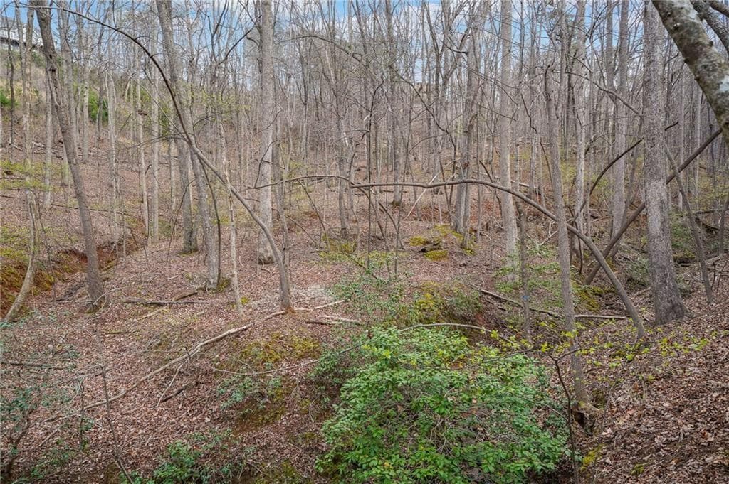 single family residence for sale at 41A&42 Madeline Anthony Road, Dahlonega, GA 30533 — photo 9
