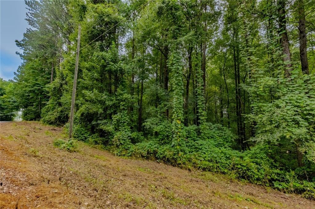 single family residence for sale at 5127 Proctor Landing Road, Acworth, GA 30101 — photo 10