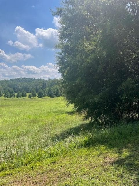 single family residence for sale at Lot 8 Captains Court, Clarkesville, GA 30523 — photo 3