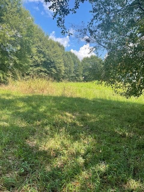 single family residence for sale at Lot 8 Captains Court, Clarkesville, GA 30523 — photo 4