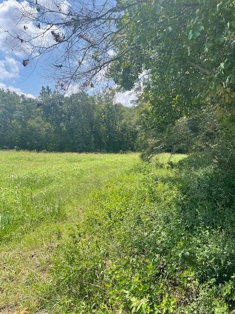 single family residence for sale at Lot 8 Captains Court, Clarkesville, GA 30523 — photo 5