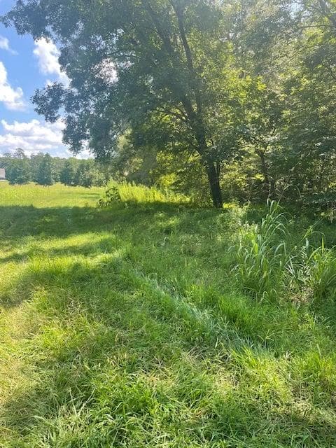 single family residence for sale at Lot 8 Captains Court, Clarkesville, GA 30523 — photo 6