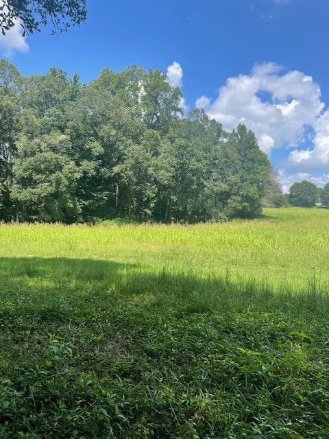 single family residence for sale at Lot 8 Captains Court, Clarkesville, GA 30523 — photo 8