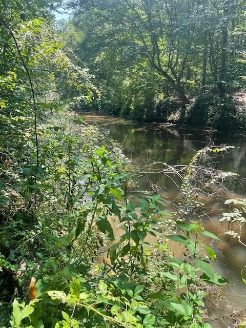 single family residence for sale at Lot 8 Captains Court, Clarkesville, GA 30523 — photo 9