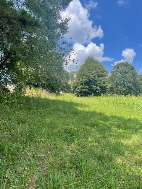 single family residence for sale at Lot 8 Captains Court, Clarkesville, GA 30523 — photo 10