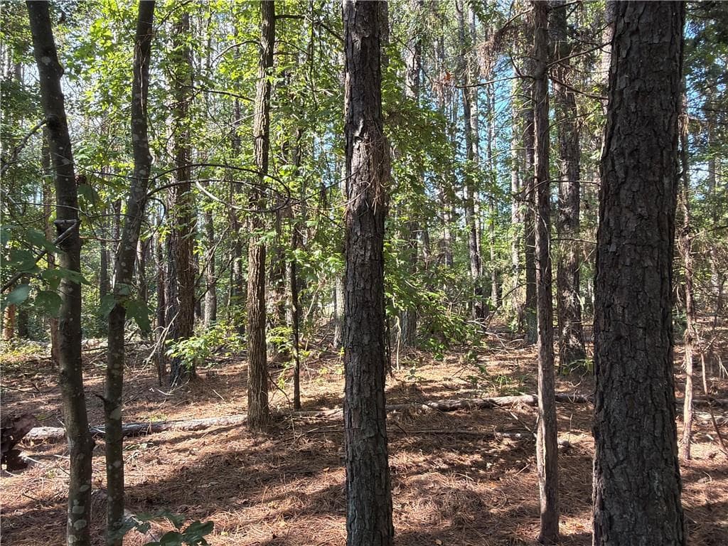 unimproved land for sale at 107 Popham Road, Taylorsville, GA 30178