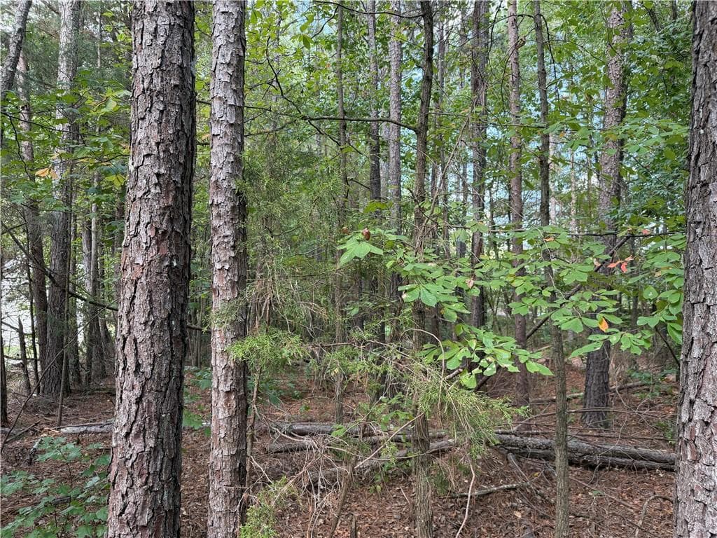 unimproved land for sale at 107 Popham Road, Taylorsville, GA 30178 — photo 2