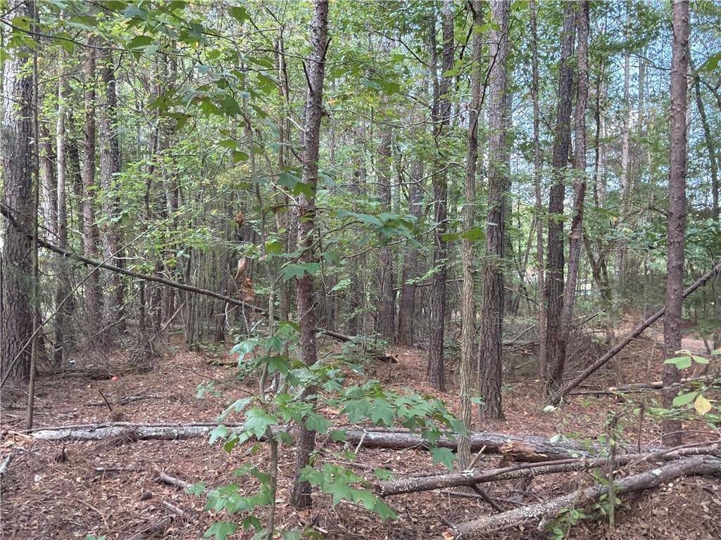 unimproved land for sale at 107 Popham Road, Taylorsville, GA 30178 — photo 3