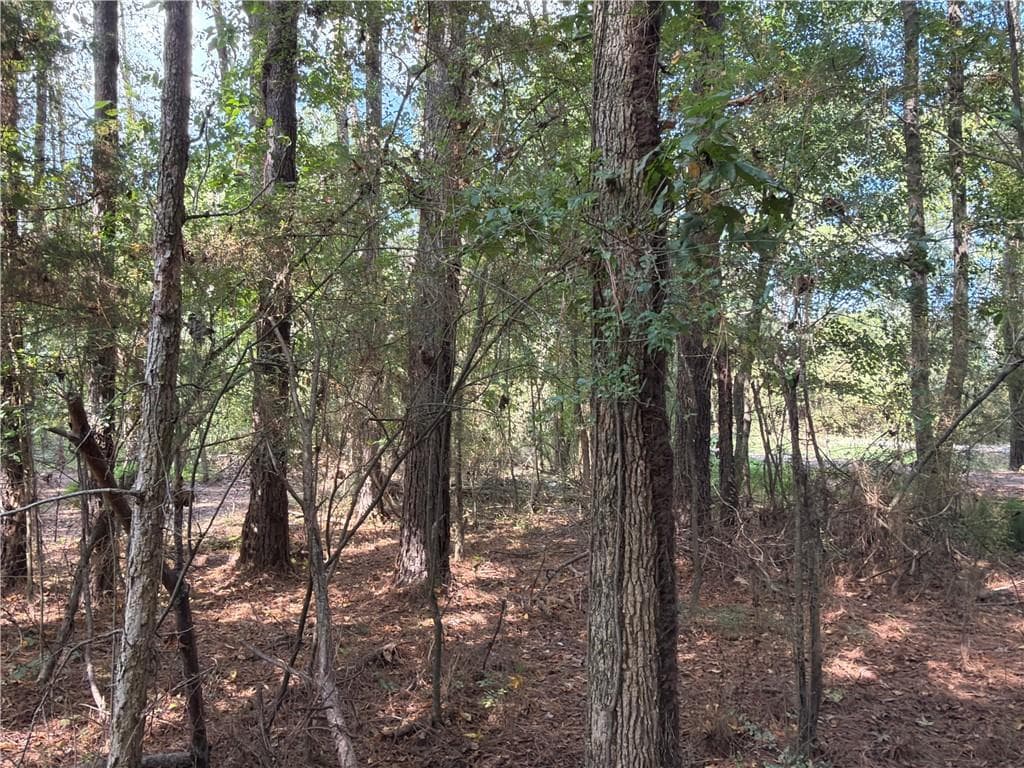 unimproved land for sale at 107 Popham Road, Taylorsville, GA 30178 — photo 4