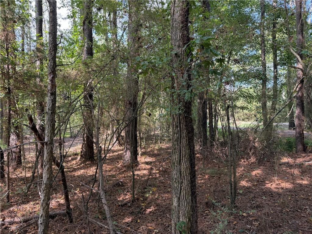 unimproved land for sale at 107 Popham Road, Taylorsville, GA 30178 — photo 5