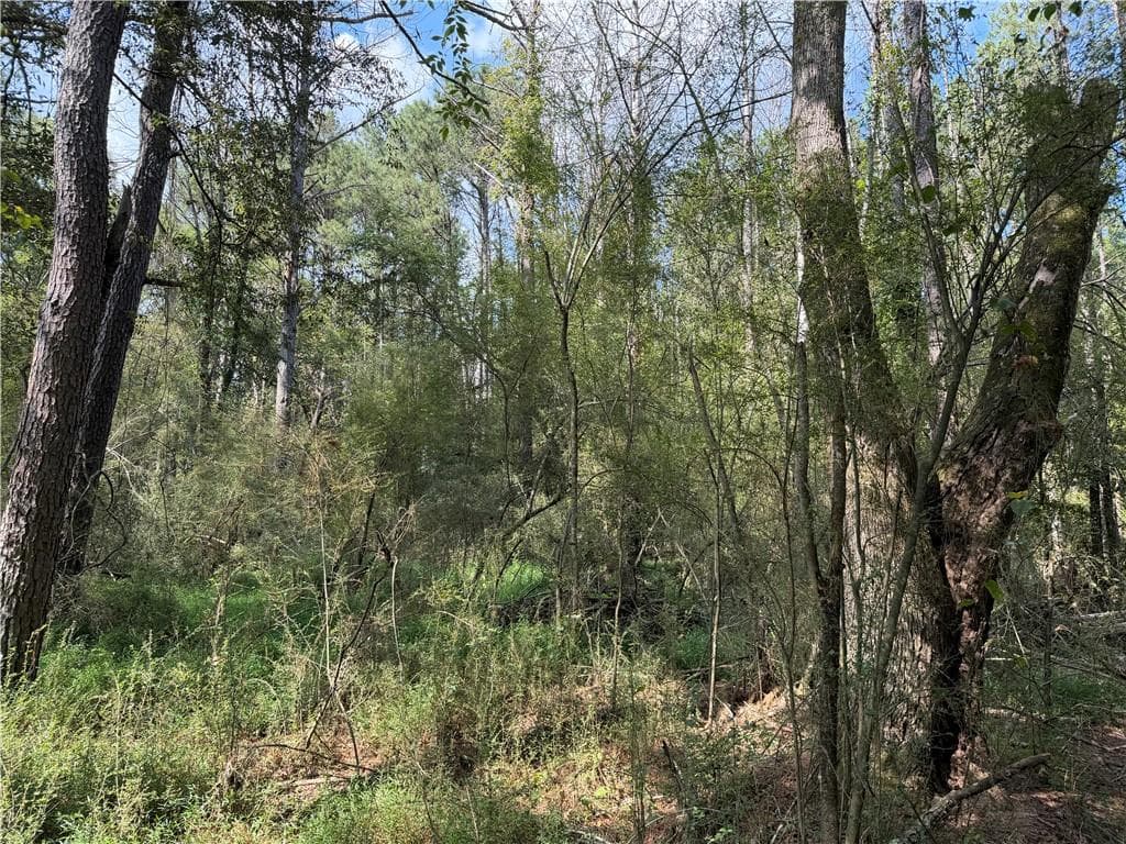 unimproved land for sale at 107 Popham Road, Taylorsville, GA 30178 — photo 6