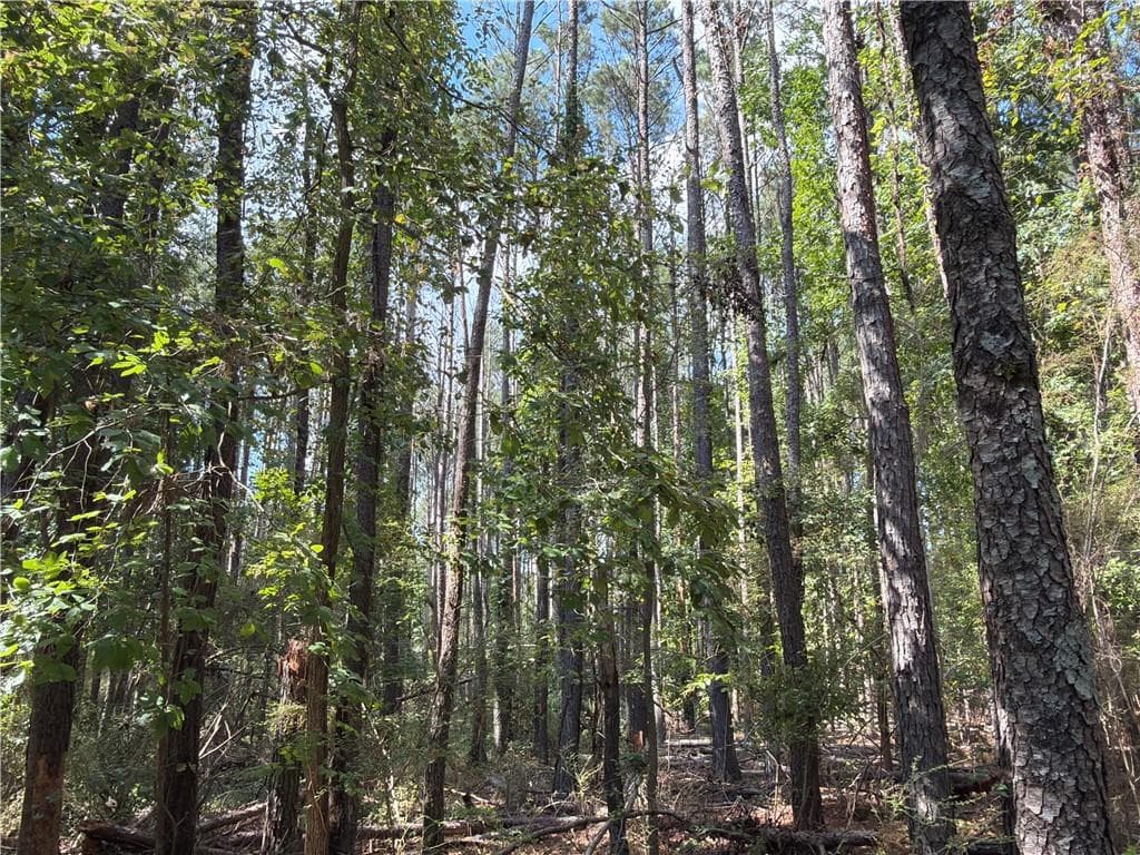 unimproved land for sale at 107 Popham Road, Taylorsville, GA 30178 — photo 7