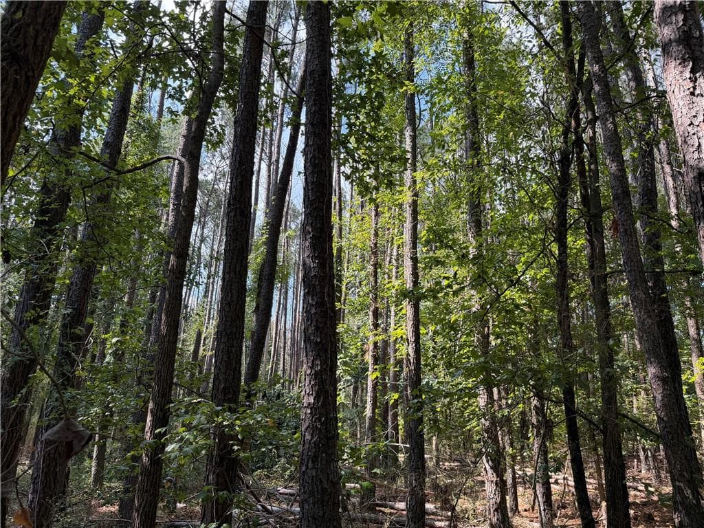 unimproved land for sale at 107 Popham Road, Taylorsville, GA 30178 — photo 8