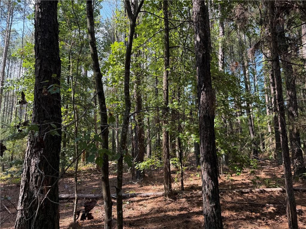 unimproved land for sale at 107 Popham Road, Taylorsville, GA 30178 — photo 9