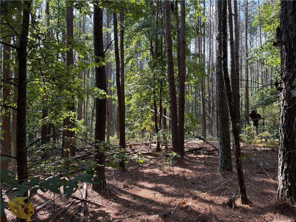 unimproved land for sale at 107 Popham Road, Taylorsville, GA 30178 — photo 10