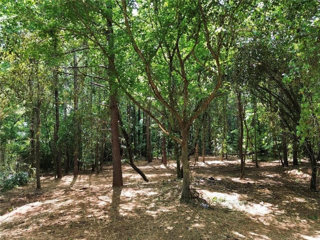 unimproved land for sale at 299 Plaza Drive, Monroe, GA 30655 — photo 2