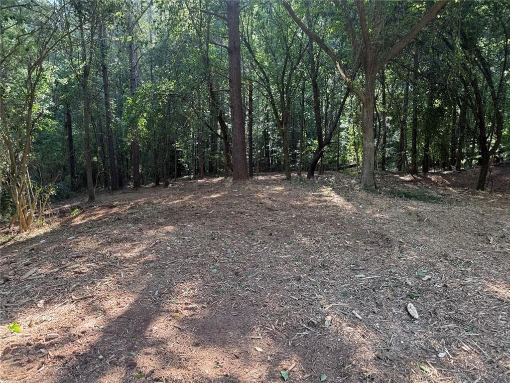 unimproved land for sale at 299 Plaza Drive, Monroe, GA 30655 — photo 3
