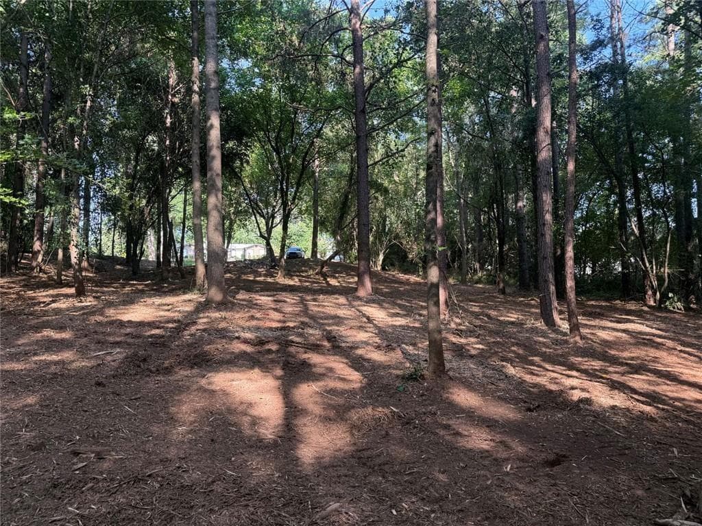 unimproved land for sale at 299 Plaza Drive, Monroe, GA 30655 — photo 4