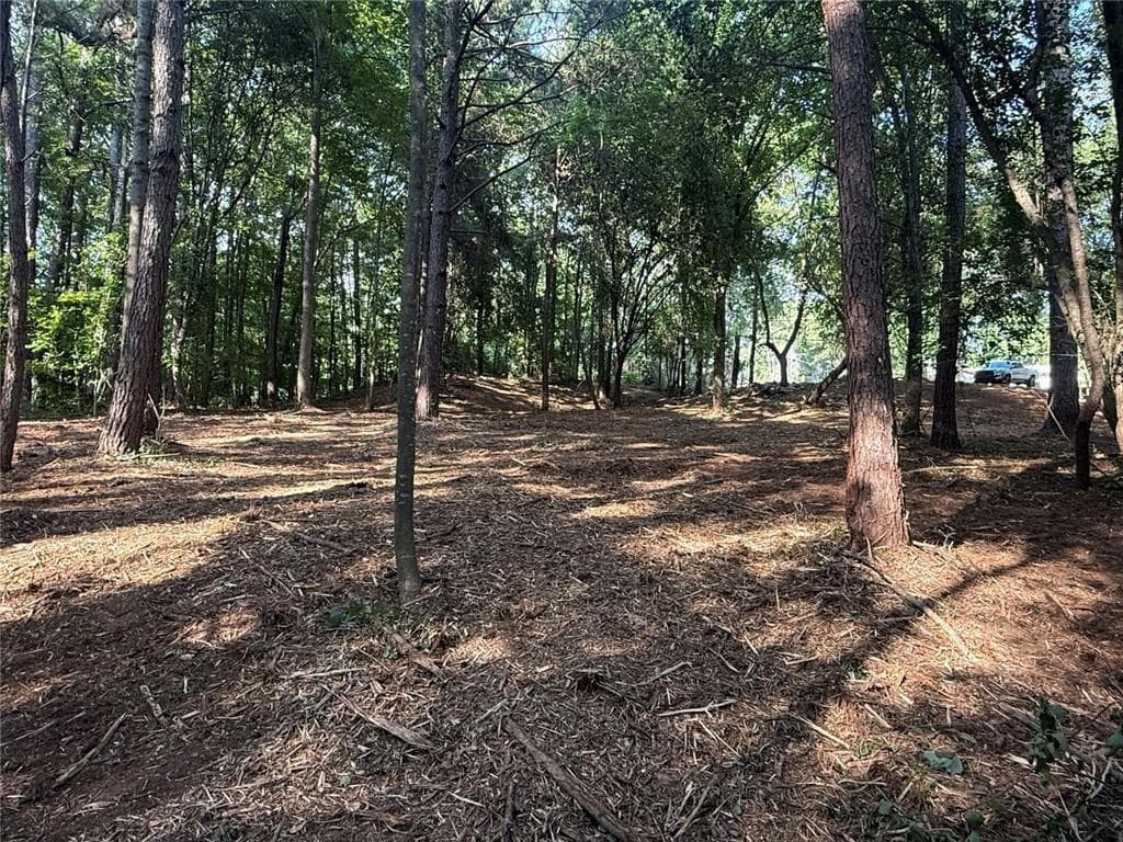 unimproved land for sale at 299 Plaza Drive, Monroe, GA 30655 — photo 5