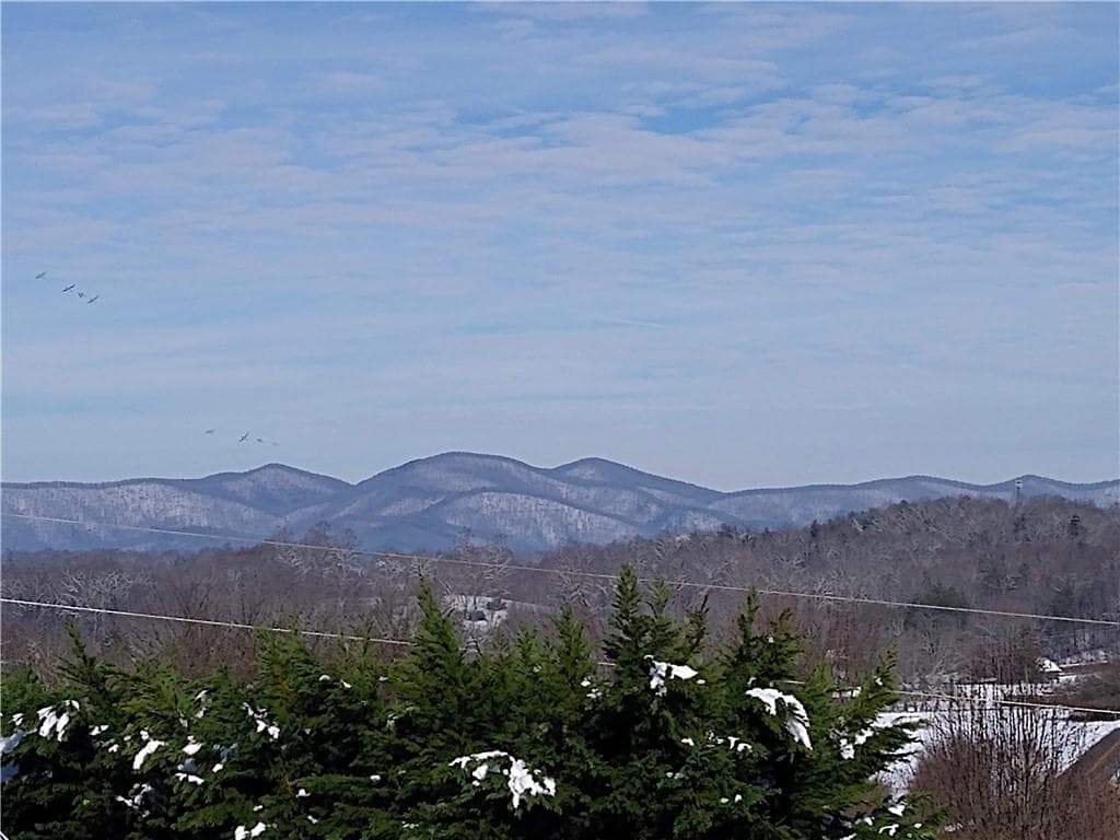3 bedroom, 2 bathroom, 1,792 sq ft single family residence for sale at 130 Fortner Drive, Dahlonega, GA 30533 — photo 4