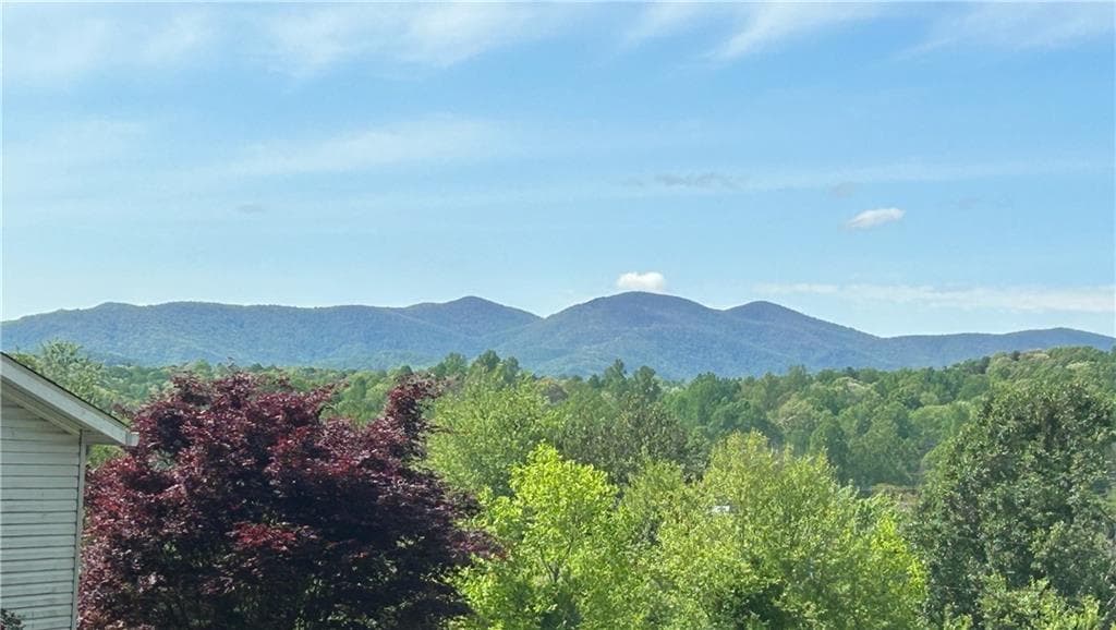3 bedroom, 2 bathroom, 1,792 sq ft single family residence for sale at 130 Fortner Drive, Dahlonega, GA 30533 — photo 3