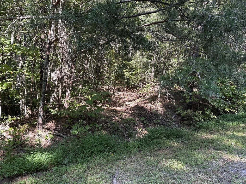 single family residence for sale at 50 St Andrews Way, Ellijay, GA 30536 — photo 7