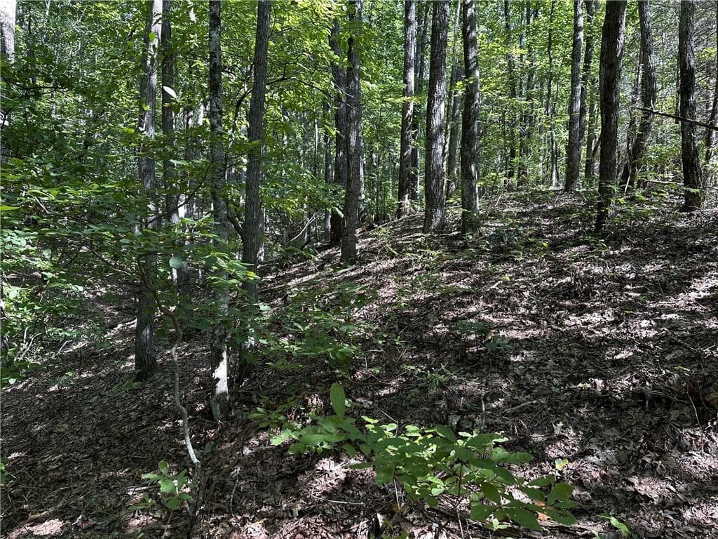 single family residence for sale at 50 St Andrews Way, Ellijay, GA 30536 — photo 8