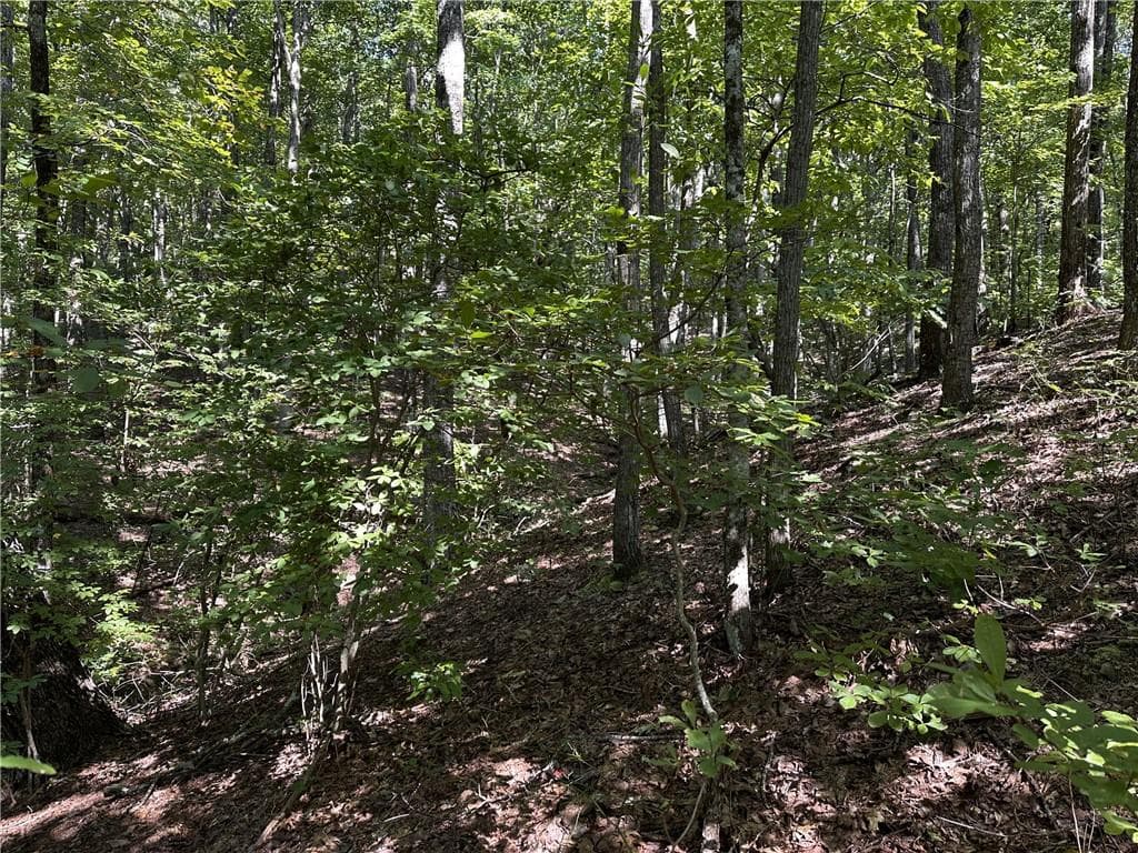 single family residence for sale at 50 St Andrews Way, Ellijay, GA 30536 — photo 9