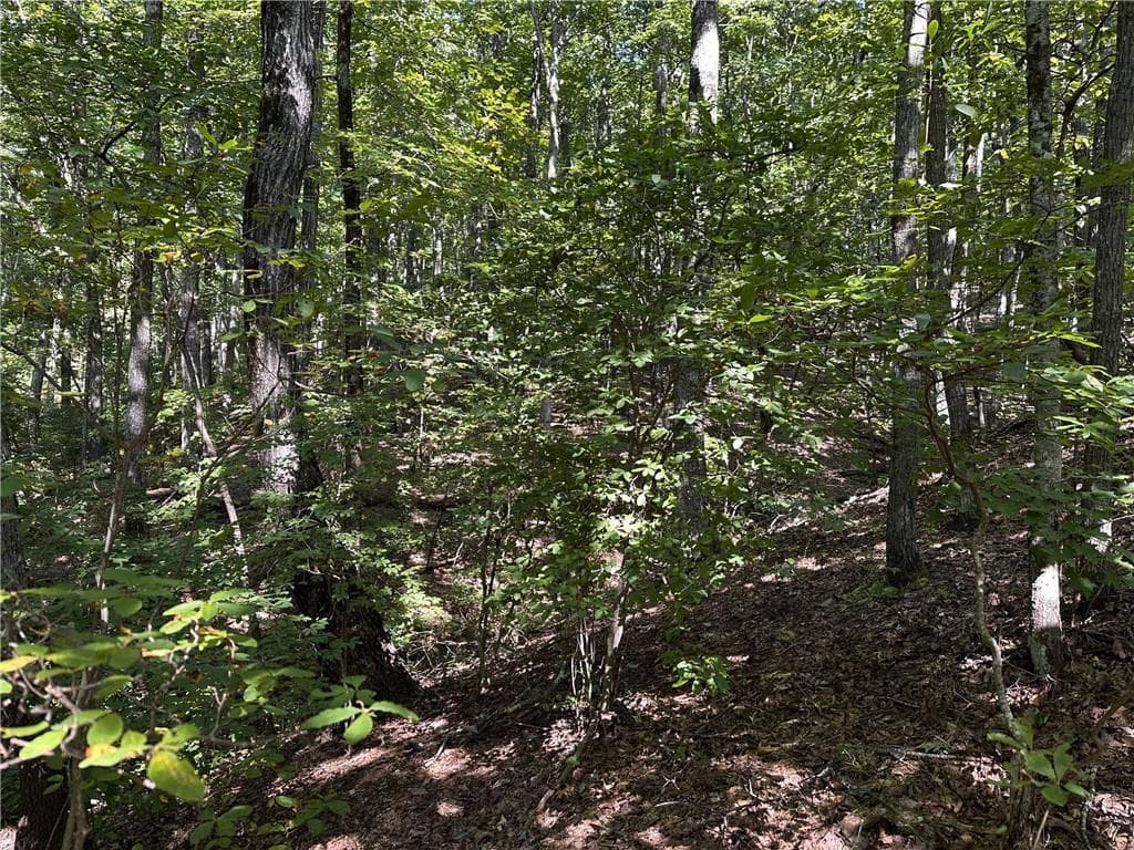 single family residence for sale at 50 St Andrews Way, Ellijay, GA 30536 — photo 10
